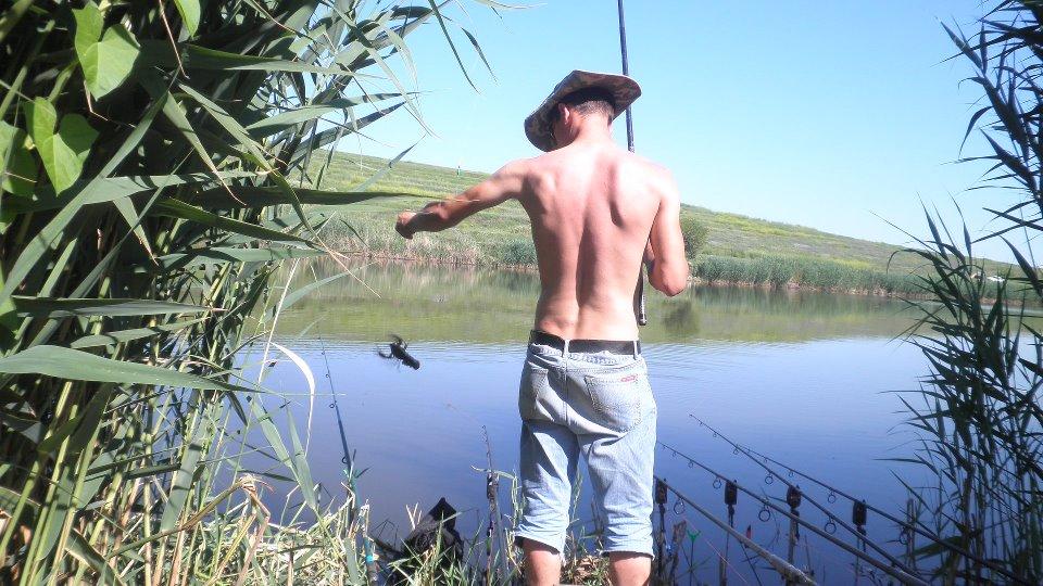 pupaza - 547217385161591531648615147945n.jpg